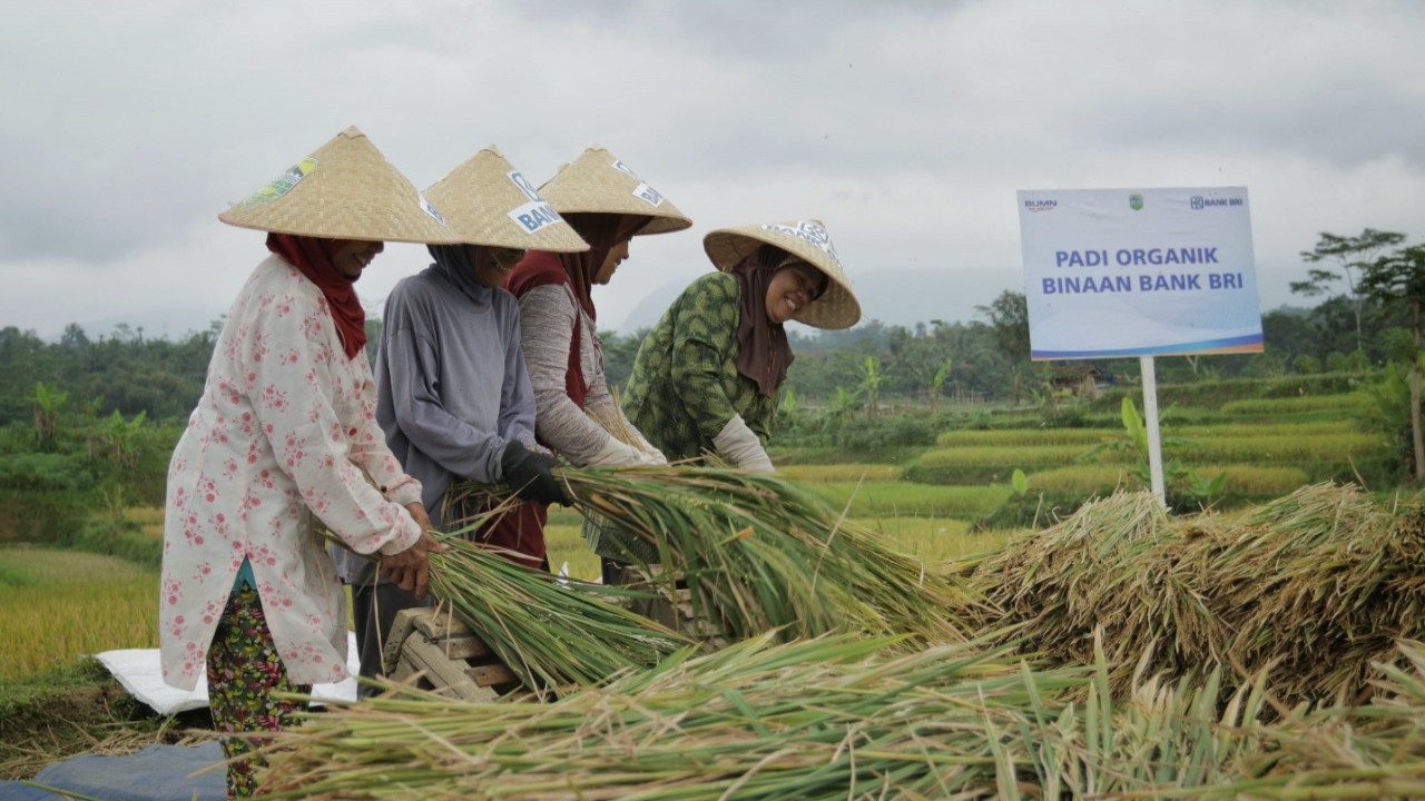 Para petani binaan BRI.