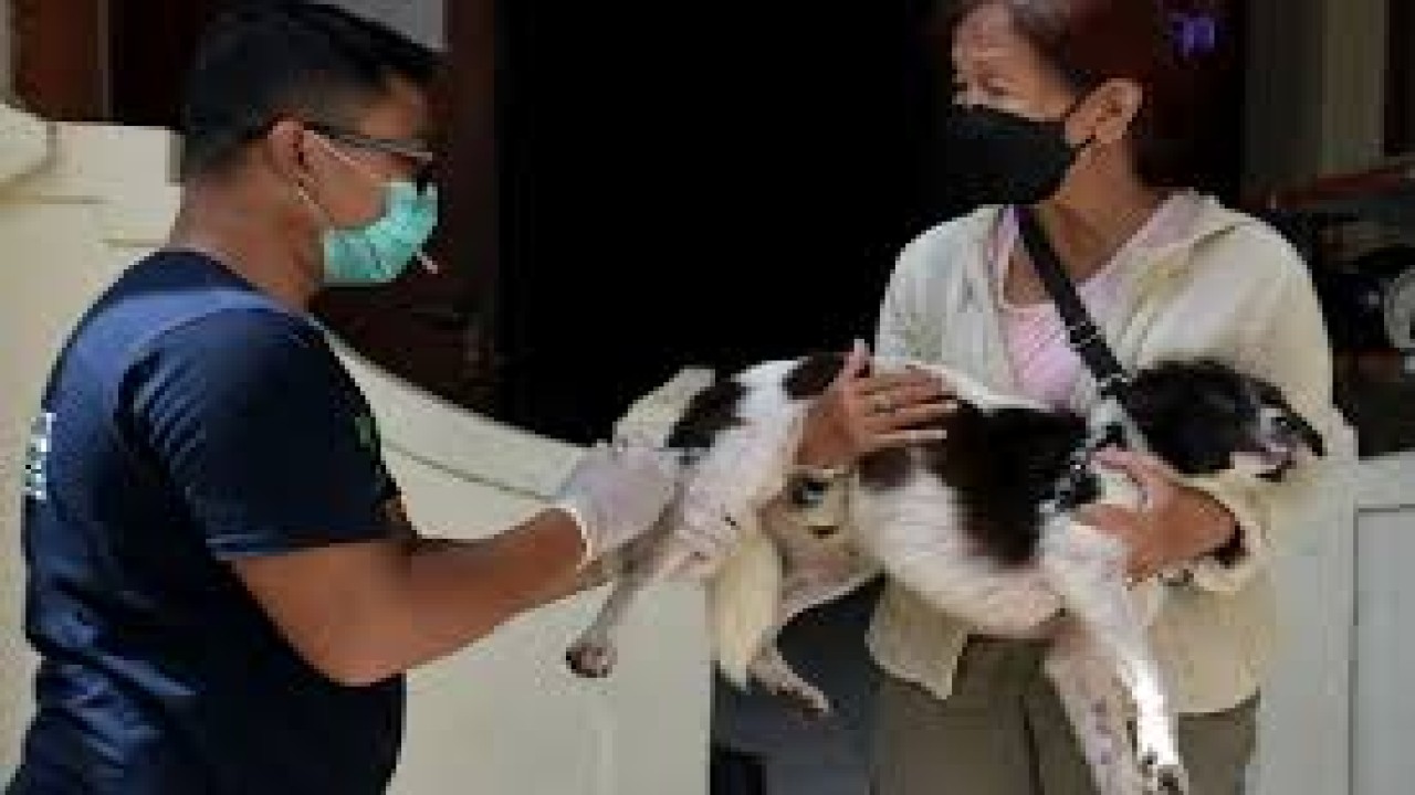 Warga membawa hewan peliharaannya untuk mendapatkan suntikan anti rabies/ist