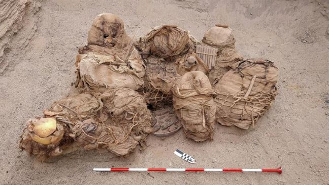 Pekerja pipa gas di Peru menemukan sisa-sisa manusia yang terkubur berusia 800 tahun yang lalu. (AFP)