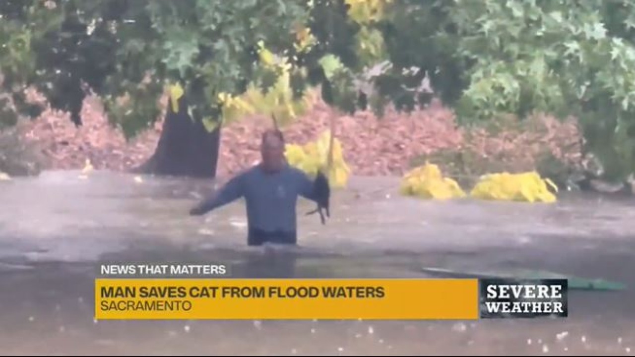 Skip Campbell selamatkan anak kucing di tengah banjir. (Tangkapan layar)