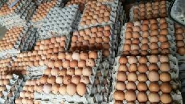 Telur ayam-1633971061