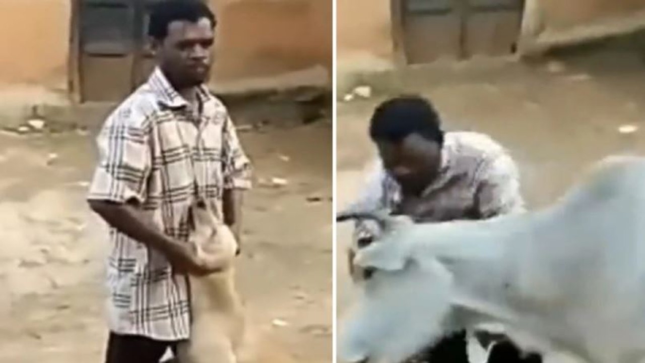 Pria melakukan penganiayaan terhadap anjing. (Istimewa)