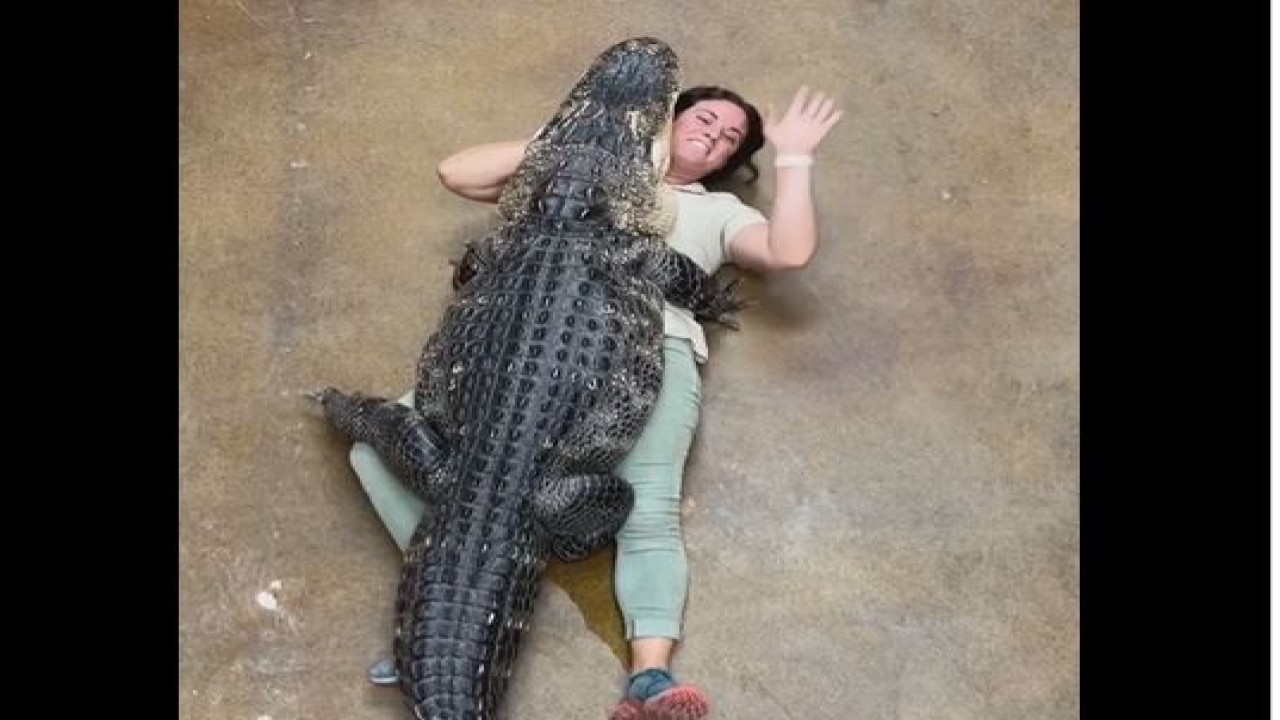 Perempuan penjaga kebun binatang memeluk buaya. (Tangkapan video/UPI/Instagram @thereptilezoo)