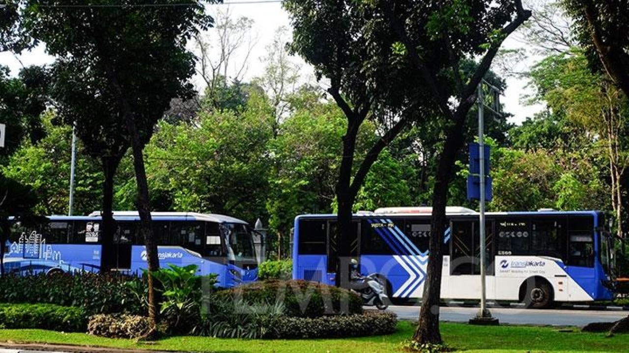 Bus TransJakarta. (Tempo)