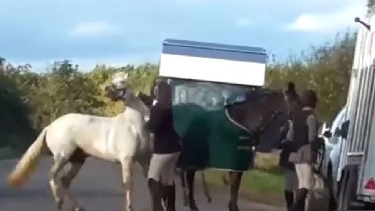 Seorang wanita terlihat menendang dan meninju seekor kuda. (The Sun)