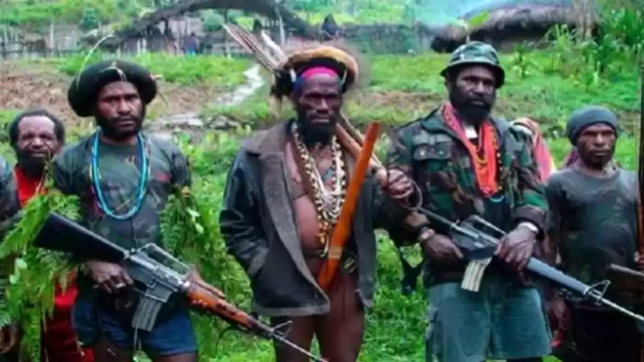Ilustrasi Kelompok Kriminal Bersenjata di Papua/ist