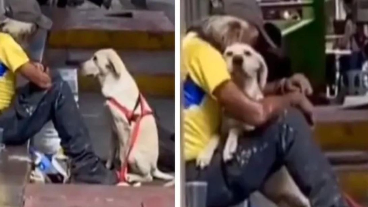 Anjing yang memeluk pria tunawisma. (India Times)