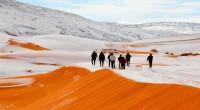 Fenomena alam langka, Gurun Sahara yang terkenal panas dan gersang diselimuti salju-1642579617