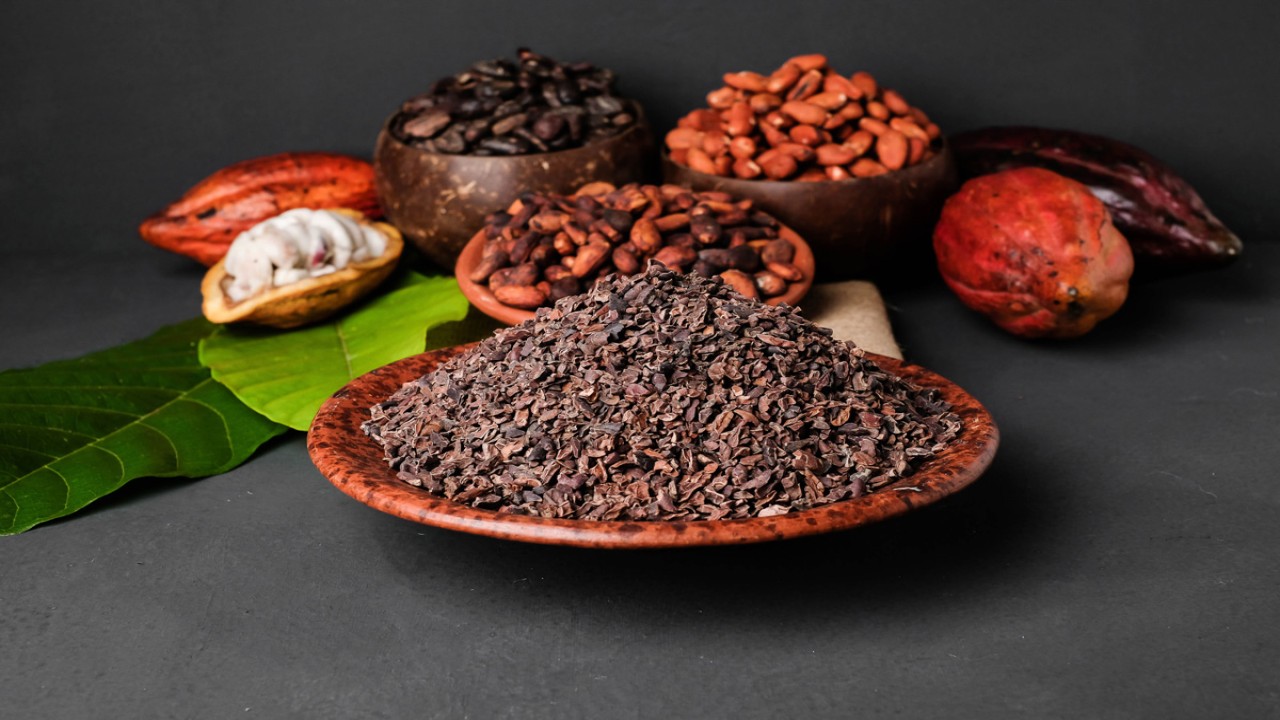 Kakao fermentasi asal Bali diminati AS dan beberapa negara Eropa/ist