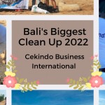 Karyawan Cekindo lakukan bersih-bersih pesisir Pantai Bali-1645771308
