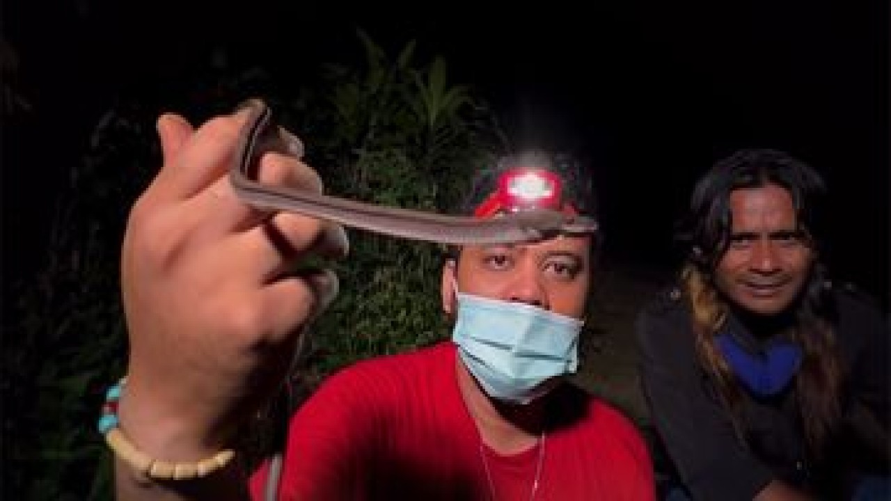 Panji Petualang memperlihatkan ular naga yang ditemukannya di Gunung Sunda/ist