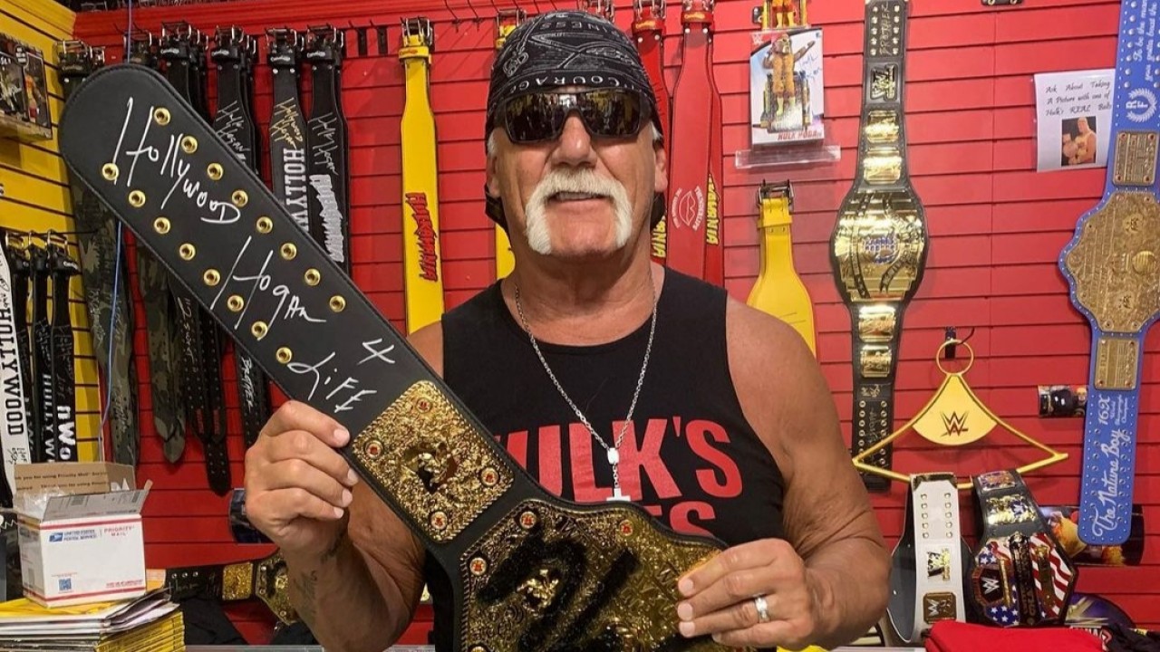 Hulk Hogan/net