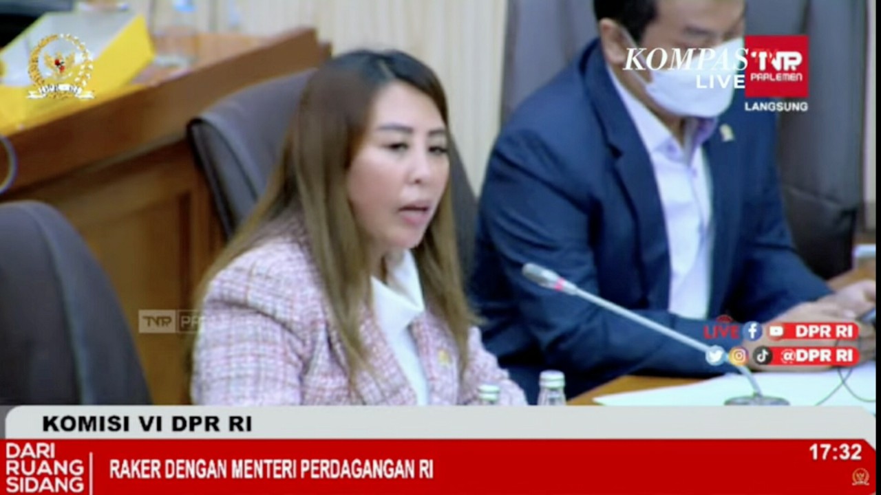 Anggota Komisi VI DPR RI Sondang Tampubolon saat menyampaikan pandangannya.