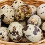 Telur puyuh banyak manfaatnya untuk kesehatan/net-1648137546
