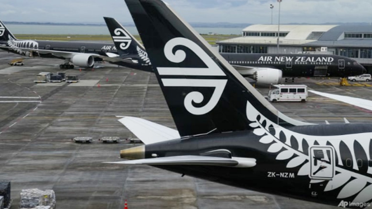 Pesawat penumpang Air New Zealand (Foto file: AP/Mark Baker)