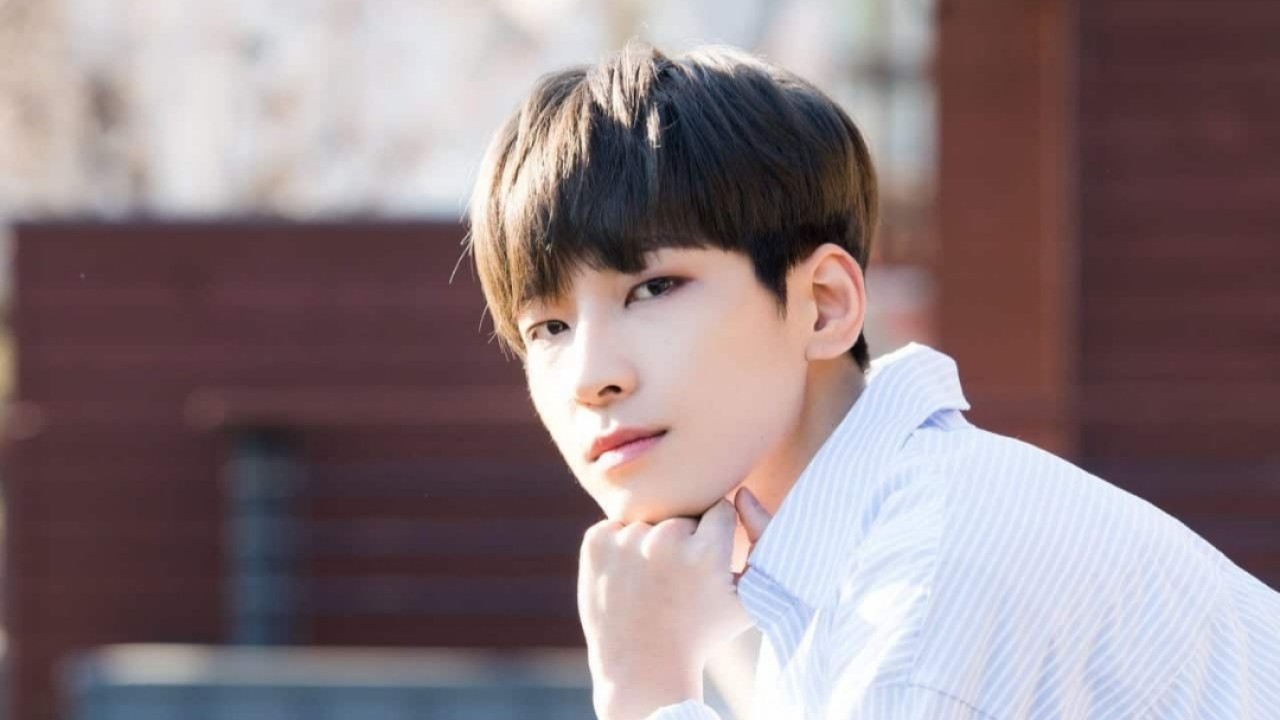 Wonwoo SEVENTEEN/net