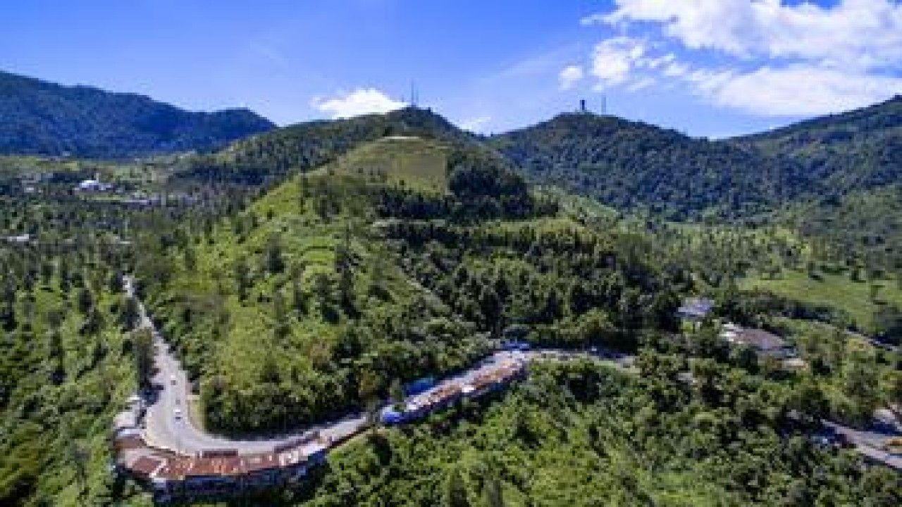 Kawasan Puncak. (Net)