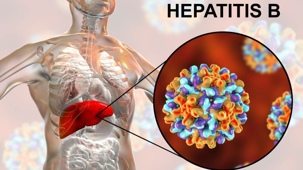 Ilustrasi hepatitis B/ist