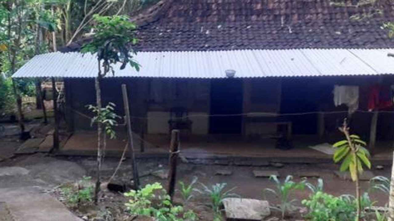Rumah bekas lokasi syuting KKN di Desa Penari dijual. (Kumparan.com)
