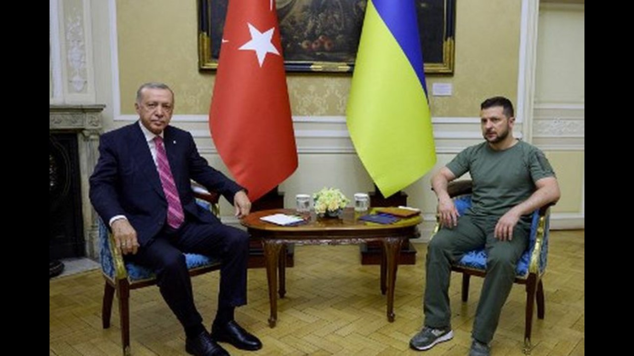 Erdogan dan Zelensky. (Net)