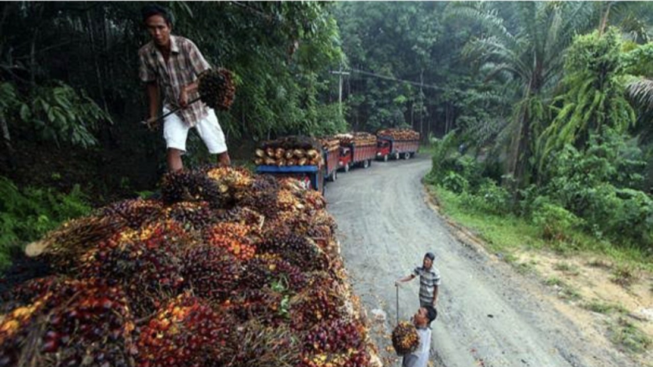 Kelapa sawit