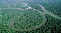 Sungai Amazon-1659697168