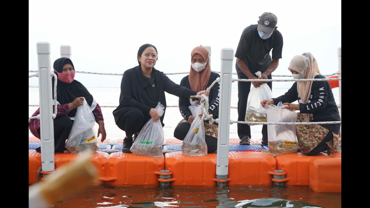 Ketua DPR RI Puan Maharani saat menabur benih ikan di Waduk Jatiluhur.