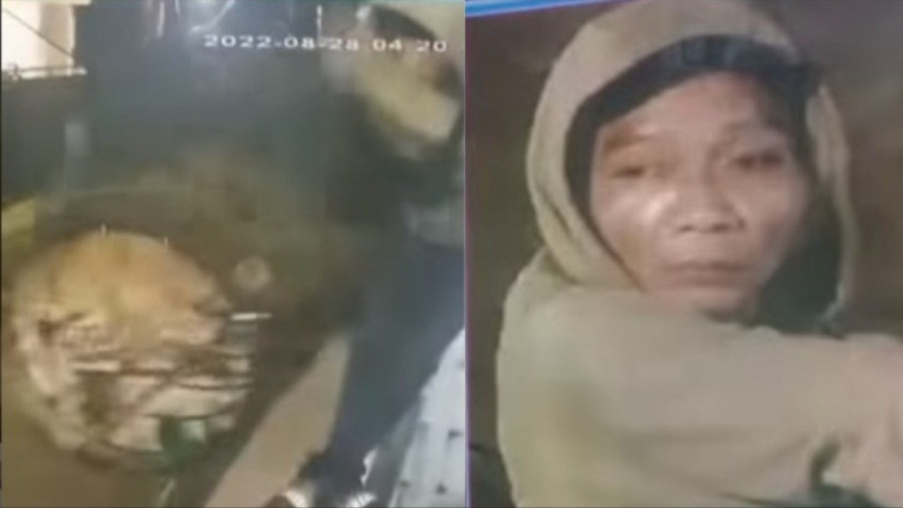 Rekaman cctv maling sangkar burung