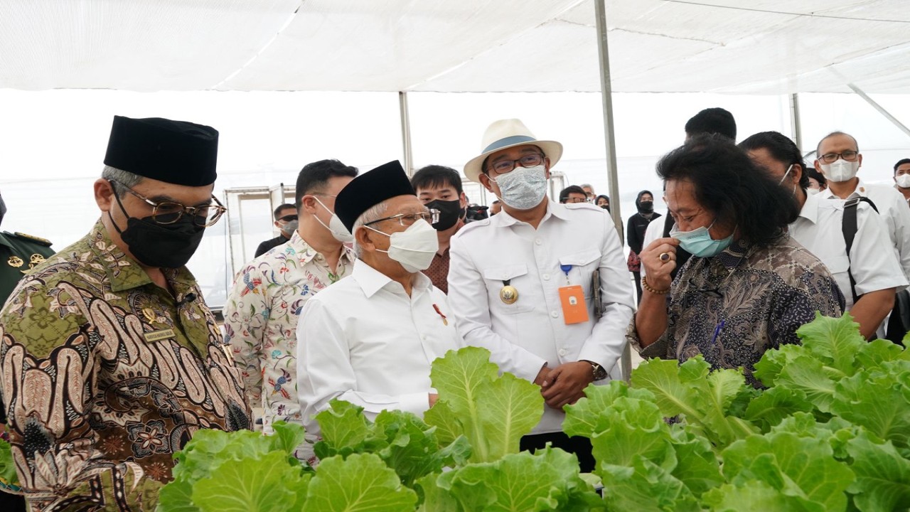 Wakil Presiden KH. Ma'ruf Amin saat meninjau Batamindo Green Farm di Karawang