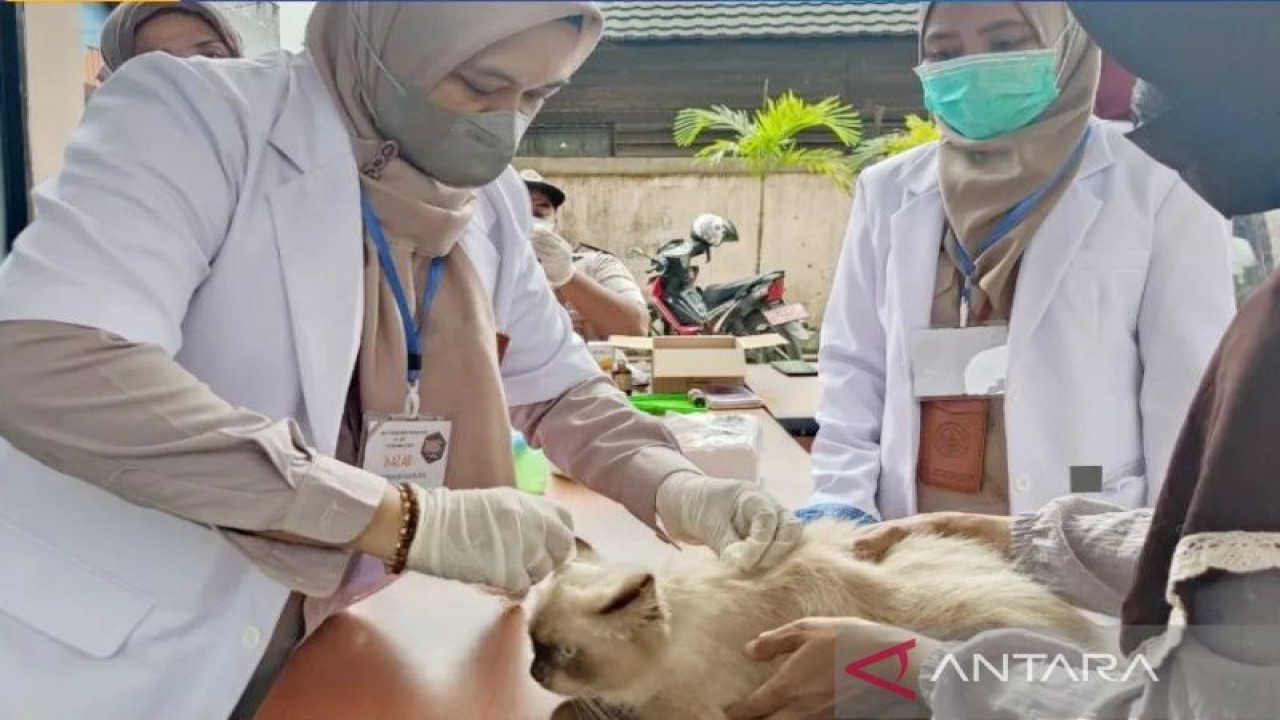 Dokter Karantina Pertanian Banjarmasin menyuntikkan vaksin rabies kepada hewan peliharaan masyarakat. (ANTARA/Firman)