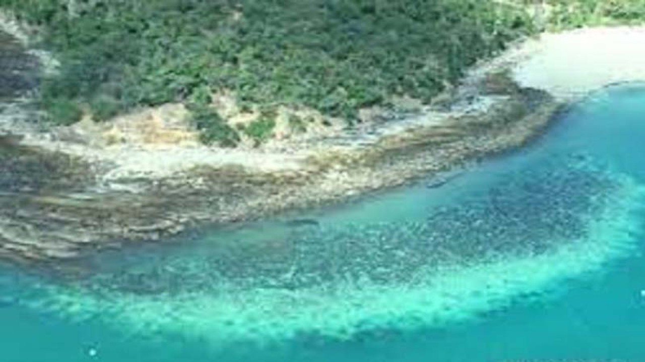 Arsip - Terumbu karang yang mengalami pemutihan ("bleaching") di Great Barrier Reef, Australia (4/6/2020). (ANTARA/ARC Centre of Excellence for Coral Reef Studies/HO via REUTERS/foc)