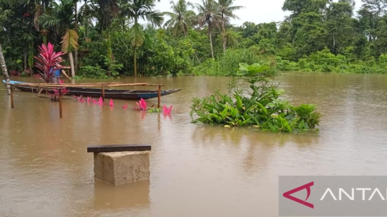 Banjir yang terjadi di salah satu daerah di Sumbar akibat tingginya curah hujan. (ANTARA/HO-BPBD Sumbar)