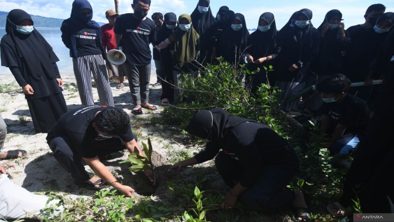 Ilustrasi - Sejumlah remaja menanam pohon Butun (Barringtonia asiatica) di pantai pada pelaksanaan Aksi Generasi Iklim di Pantai Mapaga, Desa Labean, Kabupaten Donggala, Sulawesi Tengah, Minggu (22/5/2022). ANTARA/Mohamad Hamzah/wsj.