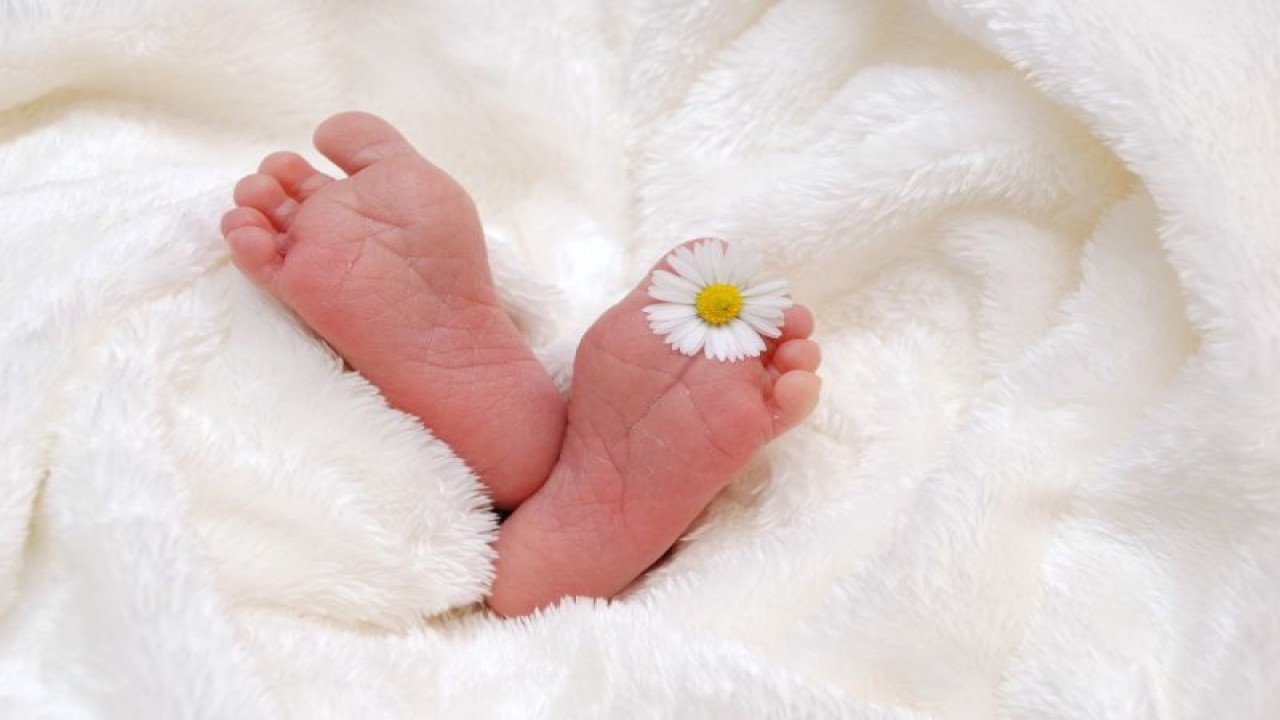 Ilustrasi bayi baru lahir (Pixabay)