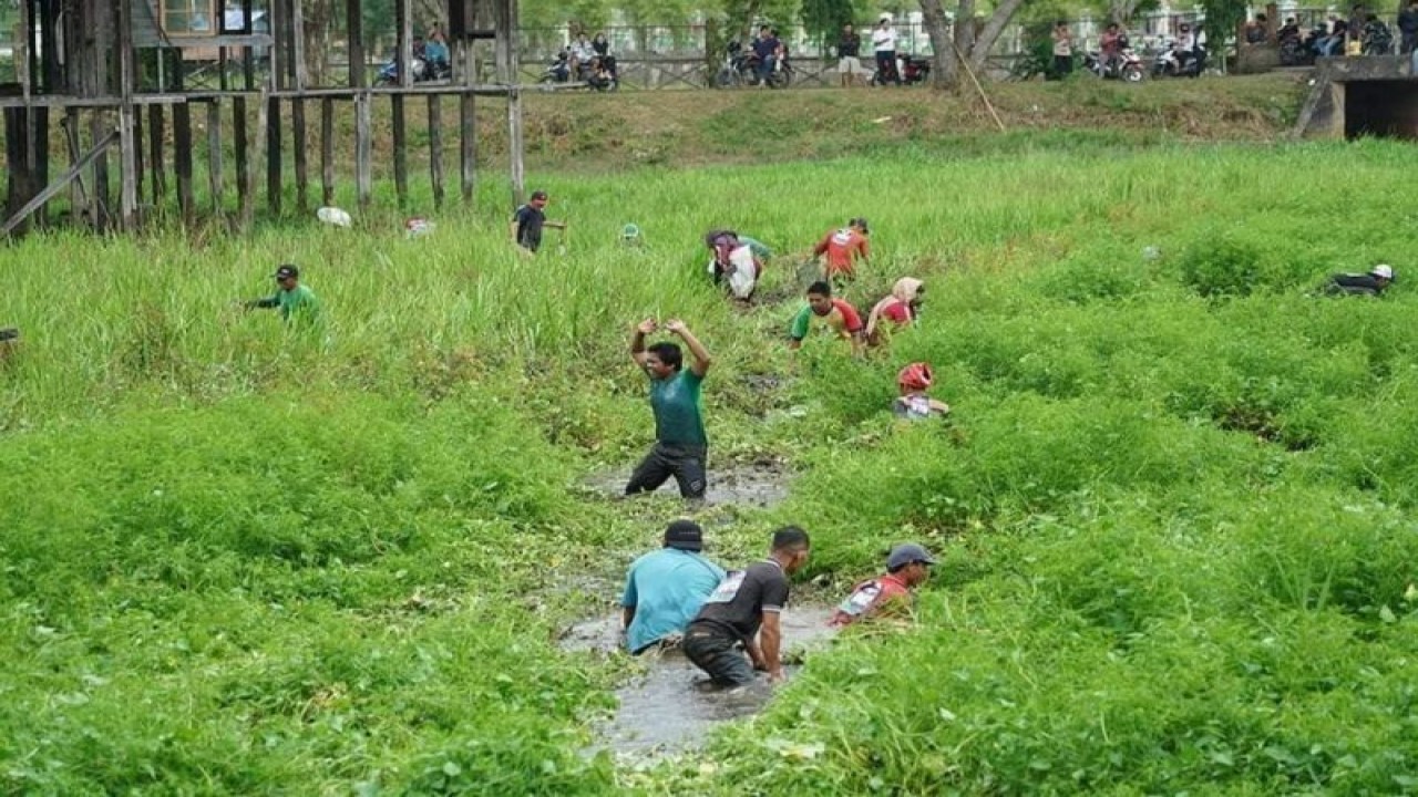 Kegiatan tradisi "Bekarang Basamo" digelar di Kolam Bebean di Muarabulian Kabupaten Batanghari, Provinsi Jambi. (ANTARA/HO-Kiki)