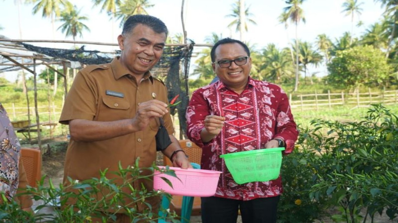 Deputi Direktur - Kepala Perwakilan Bank Indonesia Provinsi Kepulauan Riau, Musni Hardi K Atmaja dan Bupati Natuna saat meninjau kebun Cabai di Kecamatan Bunguran Selatan, Natuna, Kepri, Selasa (22/11/2022). ANTARA/HO-Kominfo Natuna/Cherman