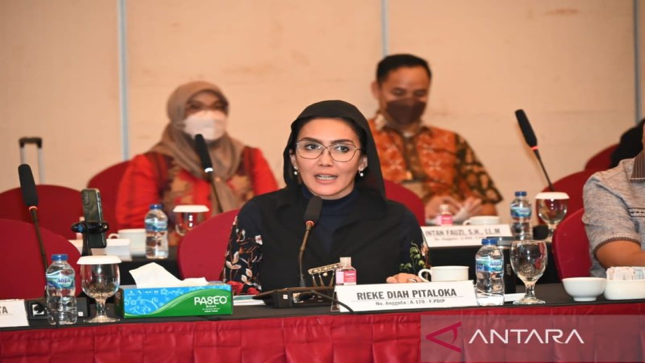 Duta Arsip Nasional Republik Indonesia Rieke Diah Pitaloka menyarankan agar Konferensi Tingkat Tinggi (KTT) G20 menghasilkan komunike bersama terkait kemanusiaan atau “Revolution of Mankind”. (ANTARA/Dokumentasi Pribadi)