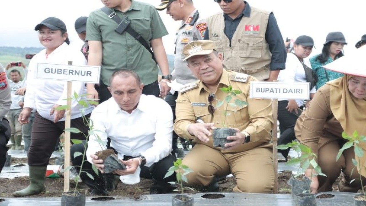 Gubernur Sumatera Utara Eddy Rahmayadi bersama Bupati Dairi Eddy Berutu meresmikan Kawasan Pertanian Terpadu (KPT) di Desa Parbuluan V, Kecamatan Parbuluan, Kabupaten Dairi yang ditandai dengan penanaman cabai perdana secara serentak, Senin. (ANTARA/HO)