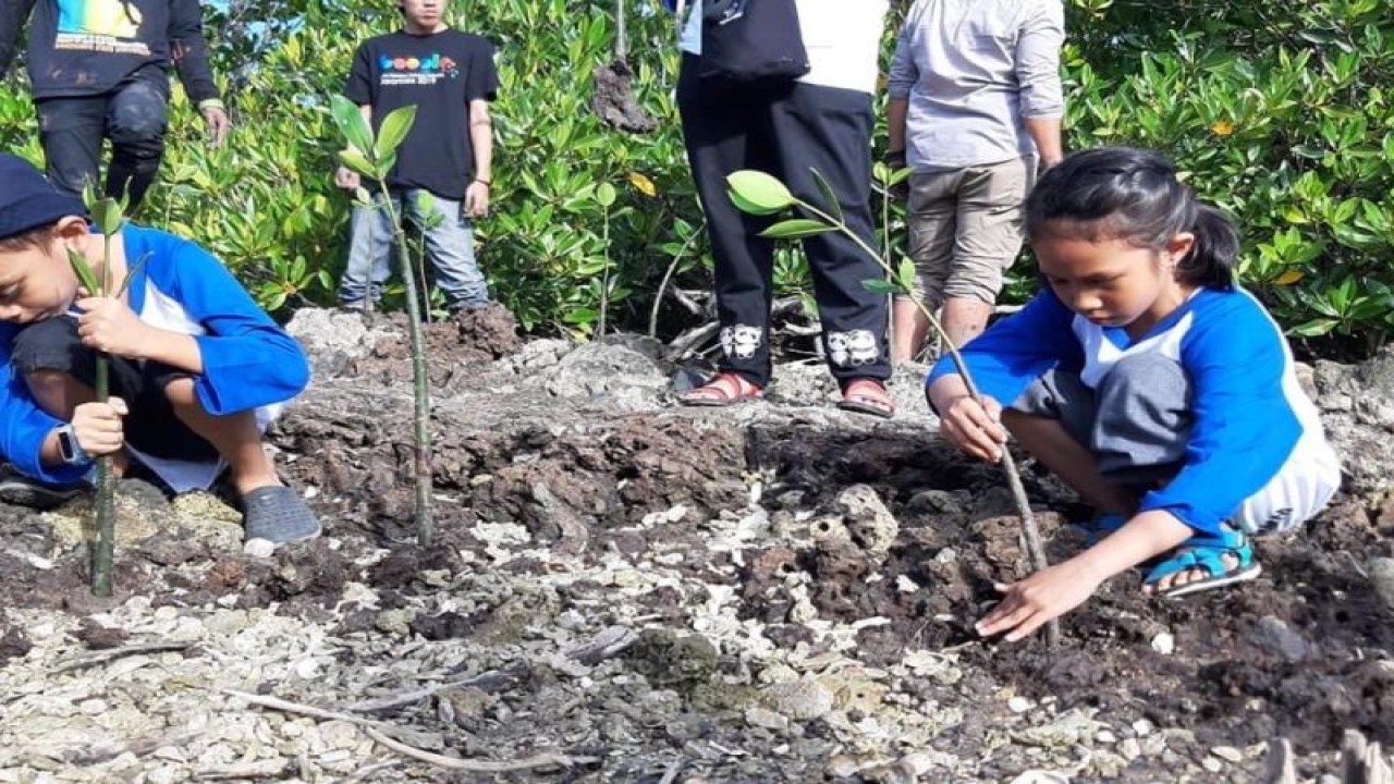 Ilustrasi - Anak-anak menanam mangrove di Gorontalo. ANTARA/Debby-Mano