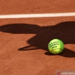 ilustrasi - Bola resmi turnamen tenis dengan bayang-bayang seorang pemain tenis diatas tanah. ANTARA/Shutterstock/pri.-1668652807