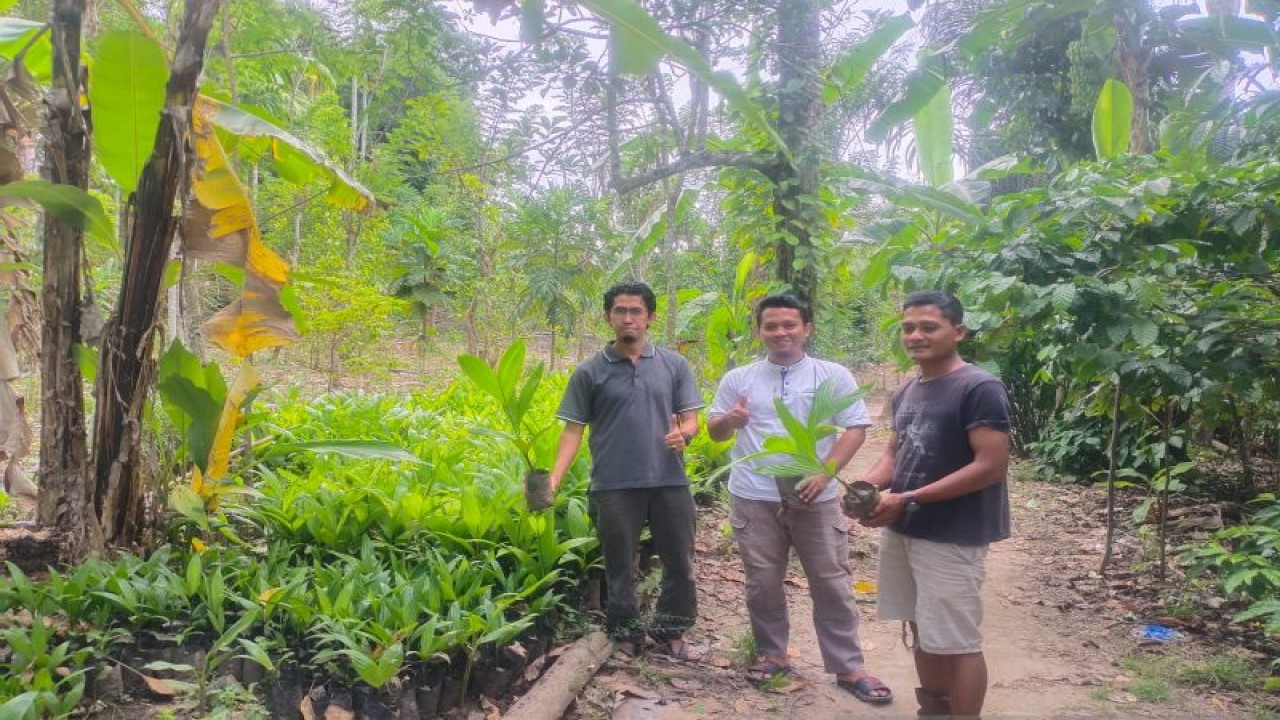 JBI melakukan gerkan menanam pohon di DAS. (ANTARA/Edo Purmana/22)