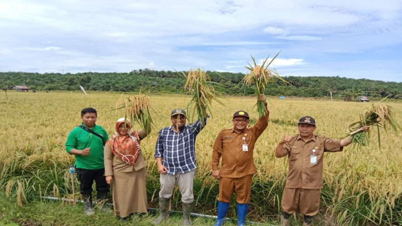 Kabupaten Paser telah mencapai swasembada pangan khususya untuk komoditas beras sejak dua  tahun terakhir.