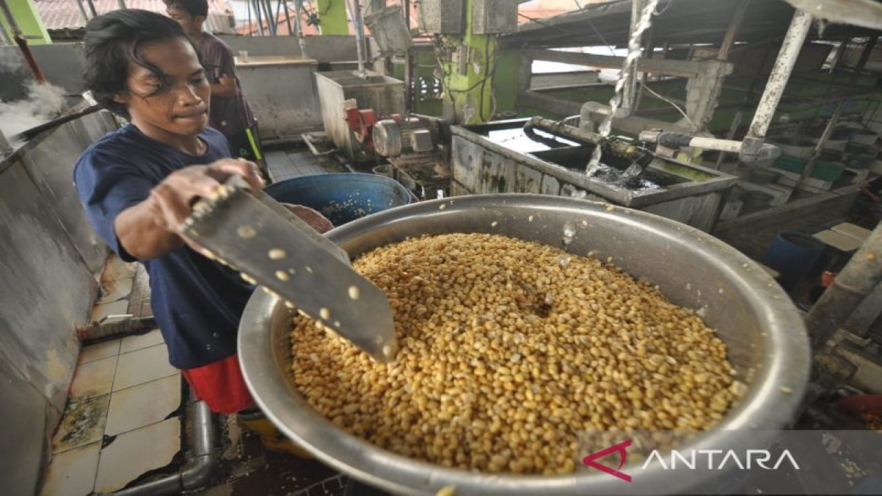 Pekerja sedang memasukan kacang kedelai ke dalam mesin penghalus untuk di olah menjadi tahu di pabrik tahu di Kota Palu, Provinsi Sulawesi Tengah, Rabu (16/11/2022). ANTARA/Muhammad Izfaldi