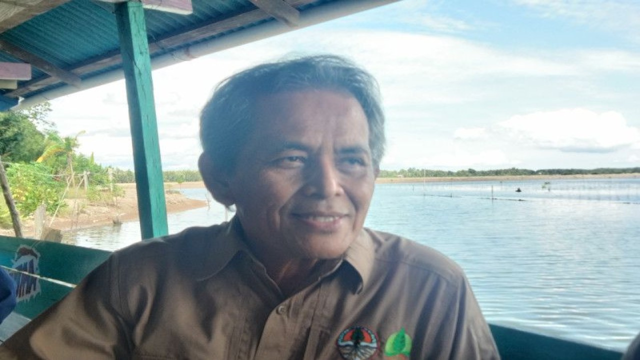 Kepala Badan Restorasi Gambut dan Mangrove (BRGM) RI Hartono saat meninjau mangrove di Desa Sengkong, Kabupaten Tana Tidung, Kalimantan Utara, Minggu (20/11). ANTARA/Susylo Asmalyah.