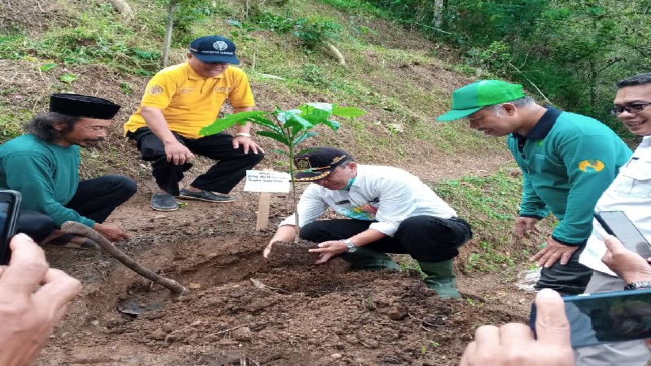 Kepala Dinas Pertanian dan Pangan Kulon Progo Aris Nugroho menanam kopi di Trayu, Ngargosari. ANTARA/HO-Dinas Pertanian dan Pangan Kulon Progo