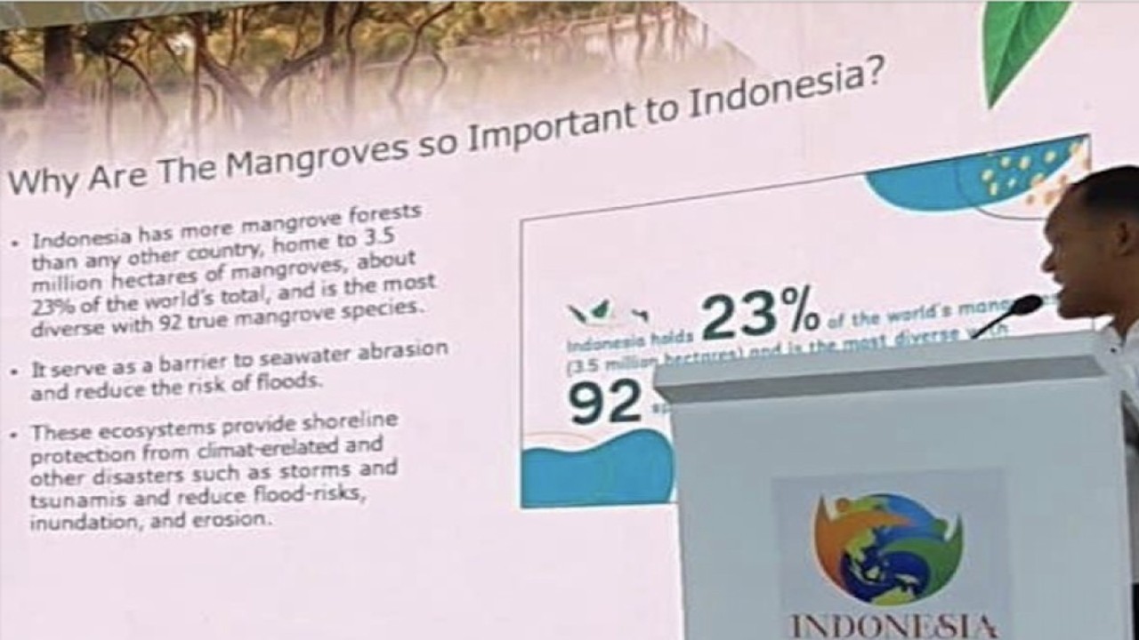 Ketua DPP Garda Pemuda NasDem (GPND) Chepy Aprianto dalam forum Pavilun Indonesia COP27, Mesir. ANTARA/HO-DPP GPND