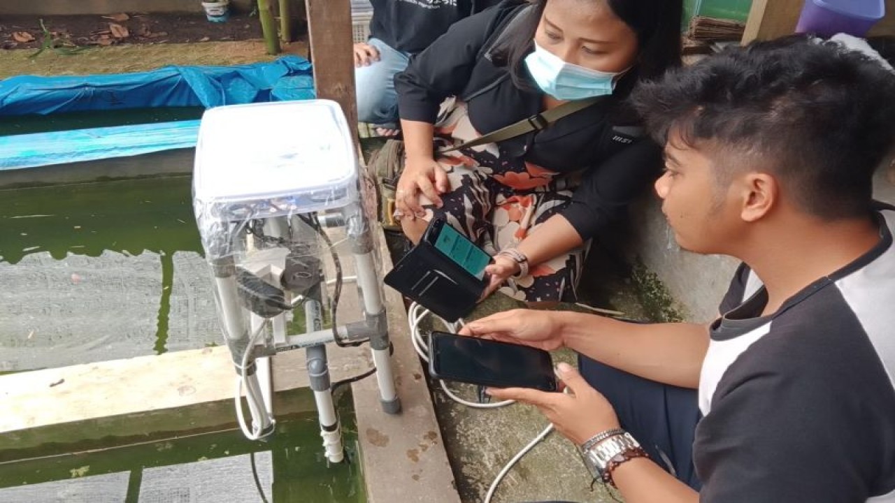 Ilustrasi mahasiswa Universitas Pradita membangun sistem pemantauan kualitas air kolam berbasis Internet of Things (IoT) di Kabupaten Tangerang. ANTARA/HO-Dokumentasi Pribadi