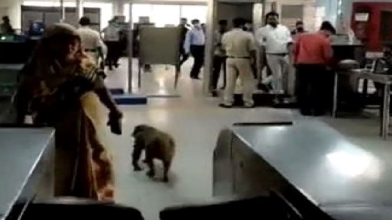 Seekor monyet memasuki are Stasiun Metro Nawada di New Delhi. (Tangkapan layar)