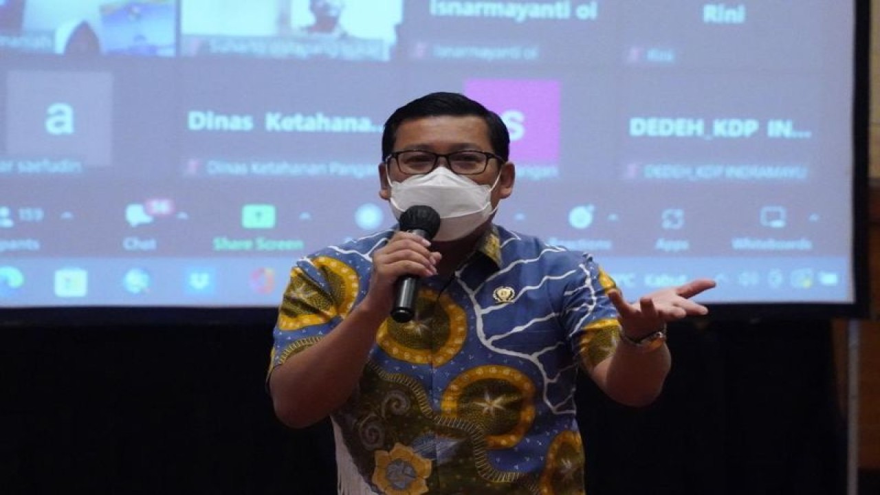 Kepala Badan Pangan Nasional/National Food Agency Arief Prasetyo Adi. ANTARA/HO-NFA