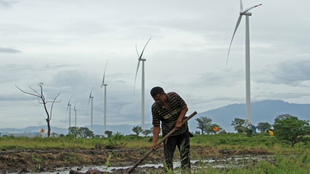 Petani menggarap sawahnya di sekitar lokasi Pembangkit Listrik Tenaga Bayu (PLTB) Tolo, Kabupaten Jeneponto, Sulawesi Selatan, Minggu (27/11/2022). ANTARA FOTO/Arnas Padda/tom. (ANTARA/ARNAS PADDA)